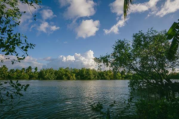 开云app冷门：詹姆斯再战布朗尼