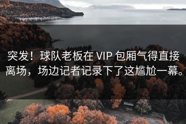 突发！球队老板在 VIP 包厢气得直接离场，场边记者记录下了这尴尬一幕。