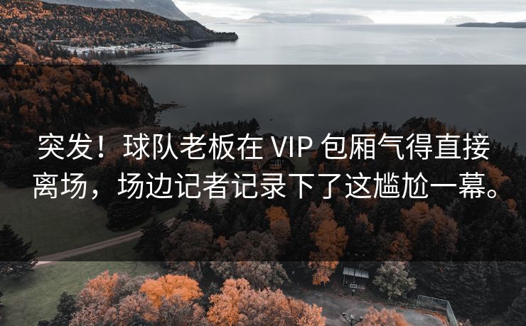 突发！球队老板在 VIP 包厢气得直接离场，场边记者记录下了这尴尬一幕。